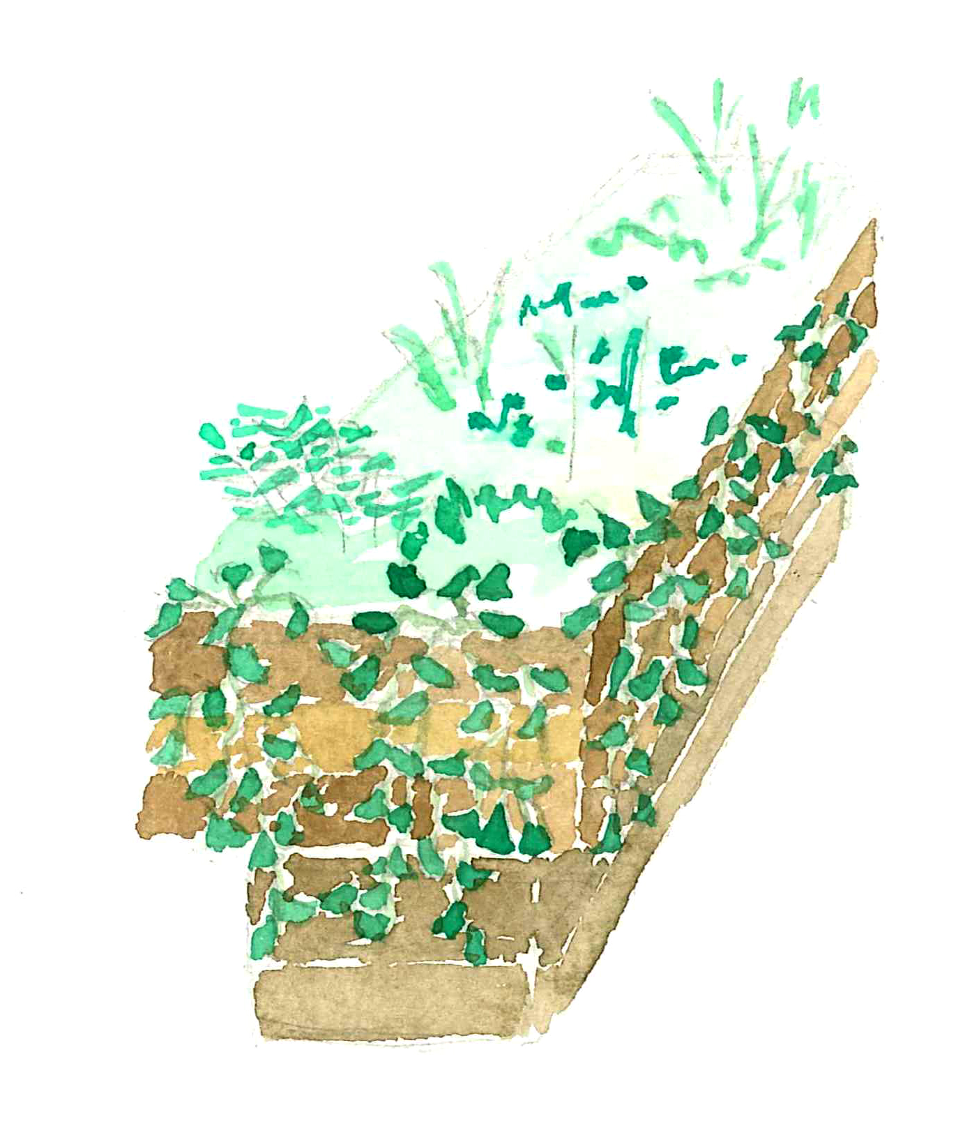bac hortithérapie retombantes2 bac hortithérapie retombantes2